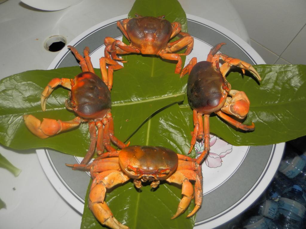 Rasdhoo Coralville Экстерьер фото