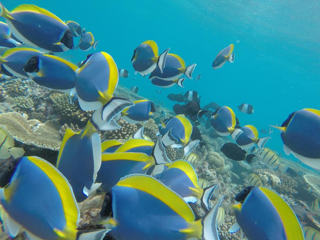 Rasdhoo Coralville Экстерьер фото