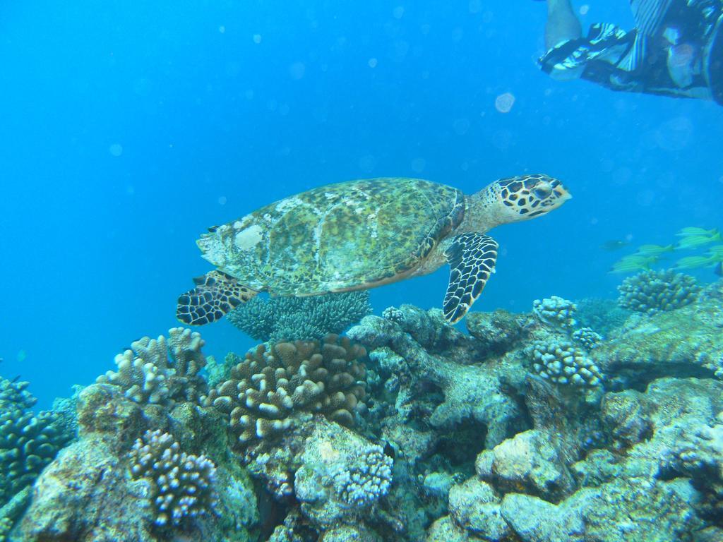 Rasdhoo Coralville Экстерьер фото