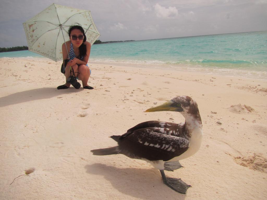 Rasdhoo Coralville Экстерьер фото