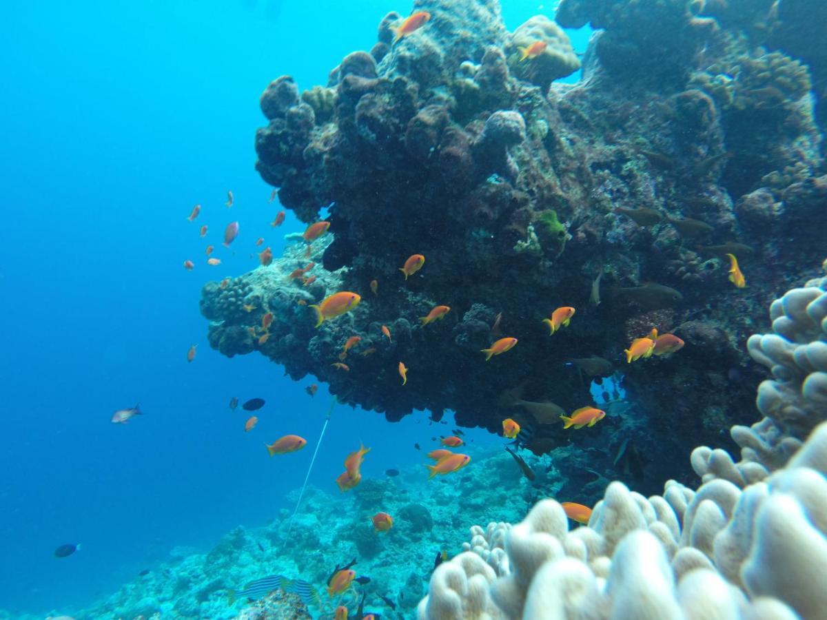 Rasdhoo Coralville Экстерьер фото
